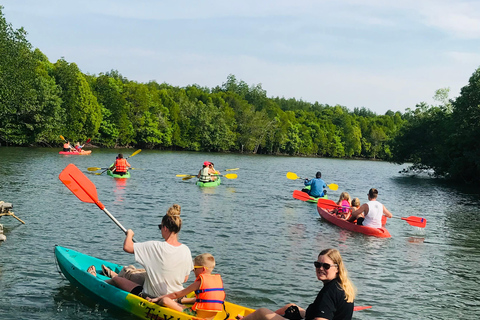 Ko Lanta: Half-Day Mangrove Kayaking Tour with Lunch Ko Lanta: Half Day Tour Mangrove Kayaking Tour With Lunch