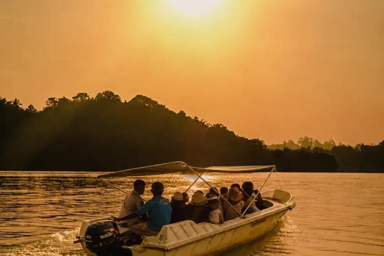 Mirissa: Daytime or Sunset Ocean Boat Tours with sudda