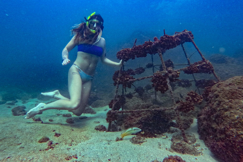 Huatulco: Hidden Beach & Snorkeling Adventure Tour