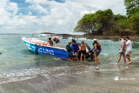 Santa Teresa, Bioluminescence and Sunset + Snorkeling + Tortuga Island