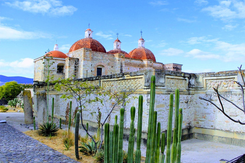 Oaxaca - Vozes de Mezcal Barrilbús