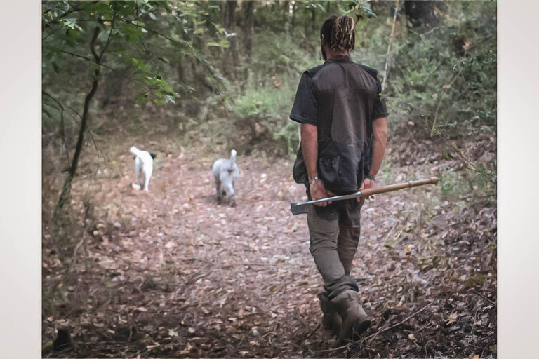 Truffle Hunting in San Gimignano opz1