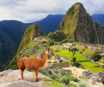Machu Picchu: Official Entry Ticket to Machu Picchu