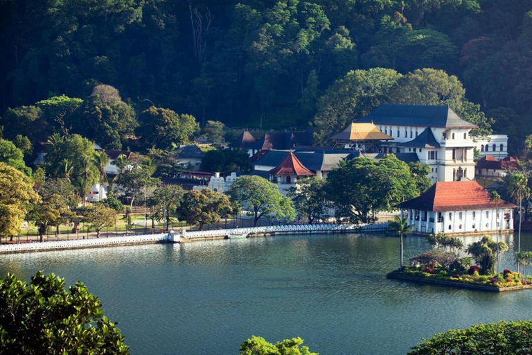 Kandy: Tea Museum, Temple, Bird Park & Dance Show Tour