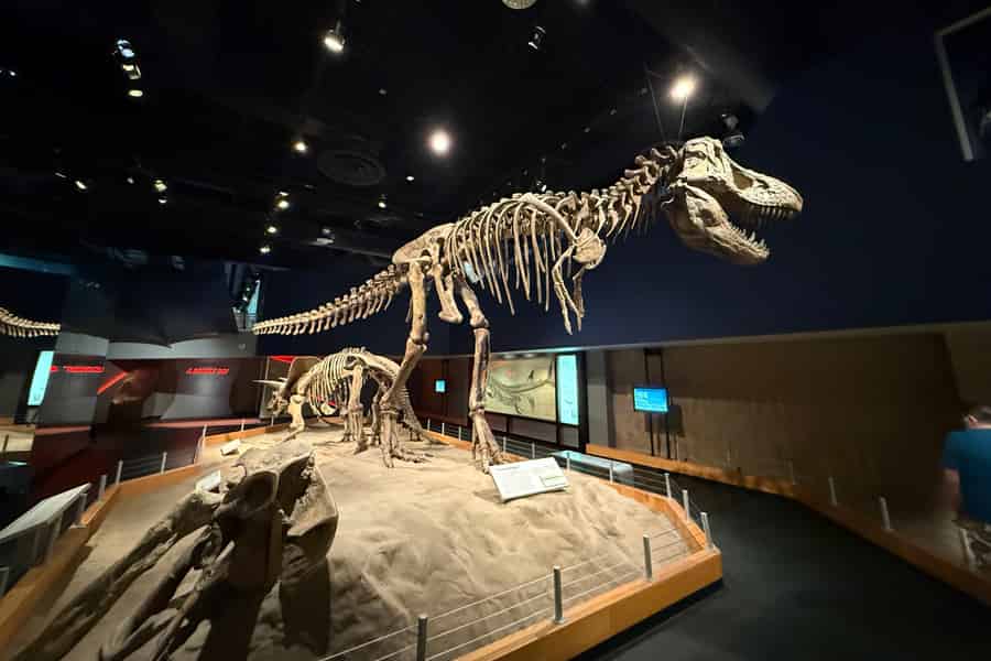 Calgary: Drumheller-Tagestour mit Eintritt zum Royal Tyrrell Museum. Foto: GetYourGuide Calgary: Drumheller-Tagestour mit Eintritt zum Royal Tyrrell Museum. Foto: GetYourGuide