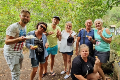 Gran Canaria: Highlights Tour, hike in the Lauer forest Maspalomas: Highlights Tour with hiking on the Lauer forest