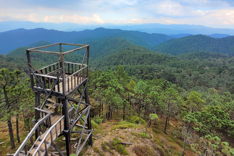 Oaxaca: Sierra Norte Ixtepeji Guided Hike & Lunch, Half-Day