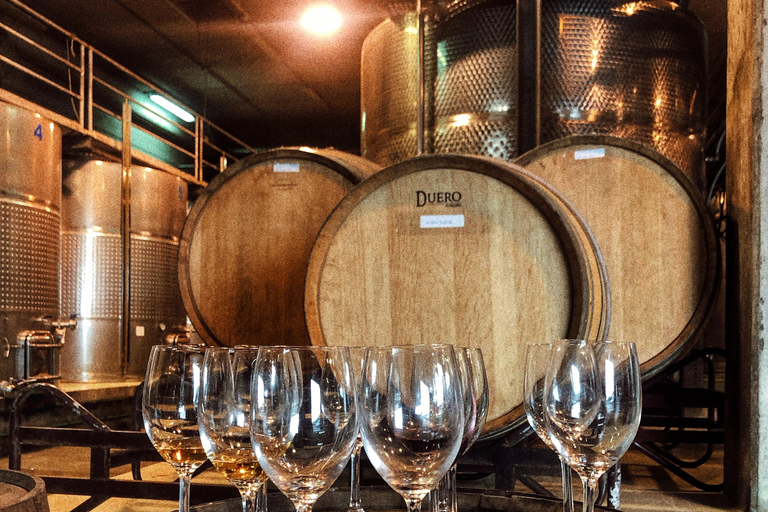 Valley of Tegueste: Wine Tour with Tasting at El Lomo Winery Tour and Tasting with 2 Wines in Spanish