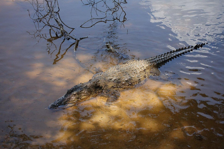 Sigiriya: Private Wilpattu National Park Safari Day Tour