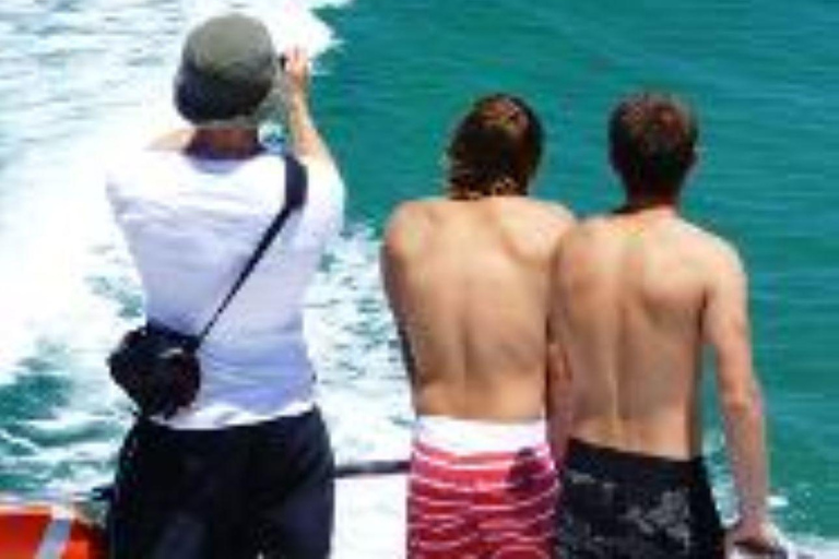 Perth: Rejs z delfinami i dziką przyrodą z lunchem