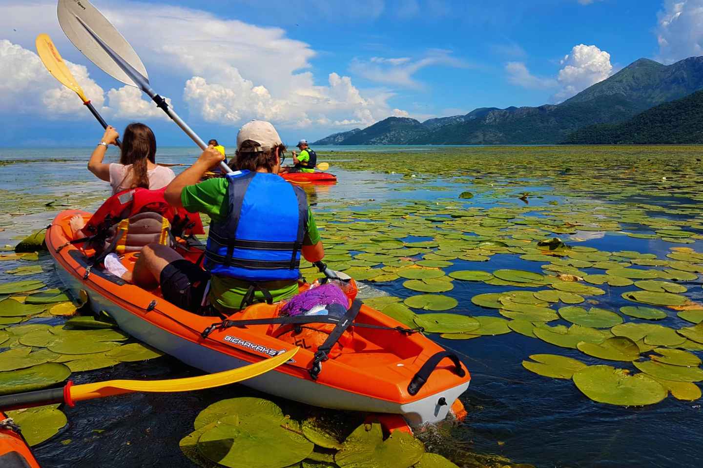 Excursion en kayak au lac Skadar - Aventure sauvage
