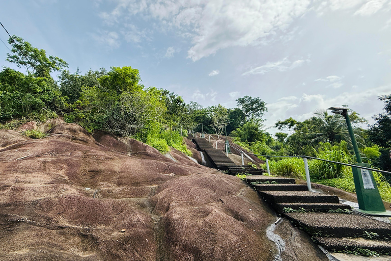 From Colombo: Cave Temples, Jungle Trek & Waterfall Swim