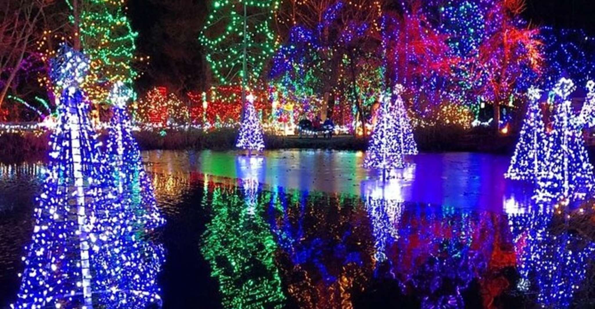 Vancouver Christmas Light Tour private - Hizvo