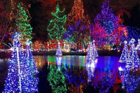 Vancouver Christmas Light Tour private - Hizvo