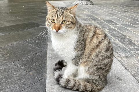 Shanghai: Sheshan Hill Private Tour with Hotel Pickup