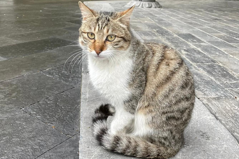 Shanghai: Sheshan Hill Private Tour with Hotel Pickup