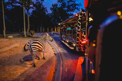 Chiang Mai: Night Safari Entry Ticket Entry Ticket + One Tram Ride