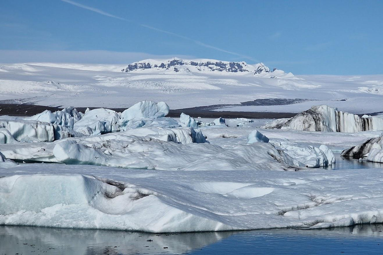 Djúpivogur: Glacier Lagoon & Diamond Beach Shore Excursion Djúpivogur Shore Excursion: Glacier Lagoon & Diamond Beach