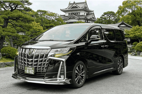 Nara: Private Car Tour with Pickup from Osaka or Kyoto
