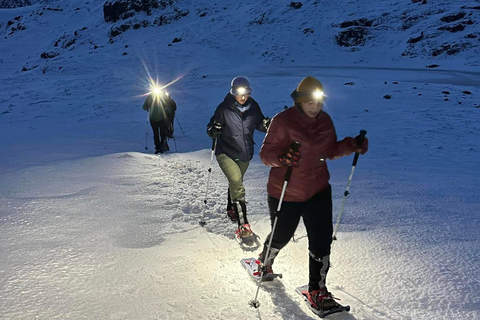 Reine: Winter Snowshoe Hike to Ryten – With Local Guide