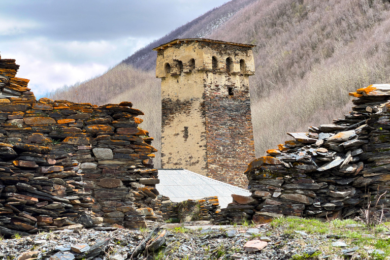 Mestia Ushguli day trip