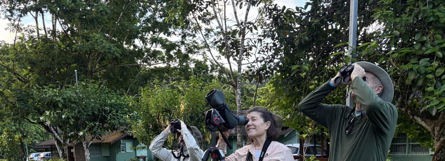 Barú : excursion d'observation des oiseaux menée par un guide certifié.