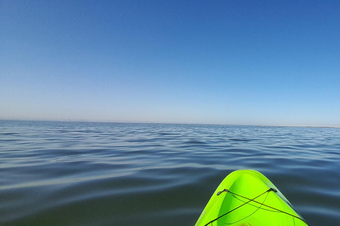 Swakopmund: Sunset Kayaking Tour with Hotel Pickup