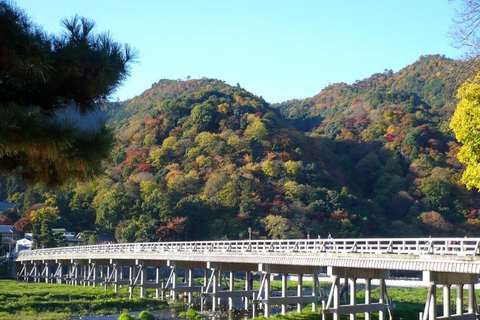 Kyoto Private Customizable Full Day Tour with Luxury Vehicle