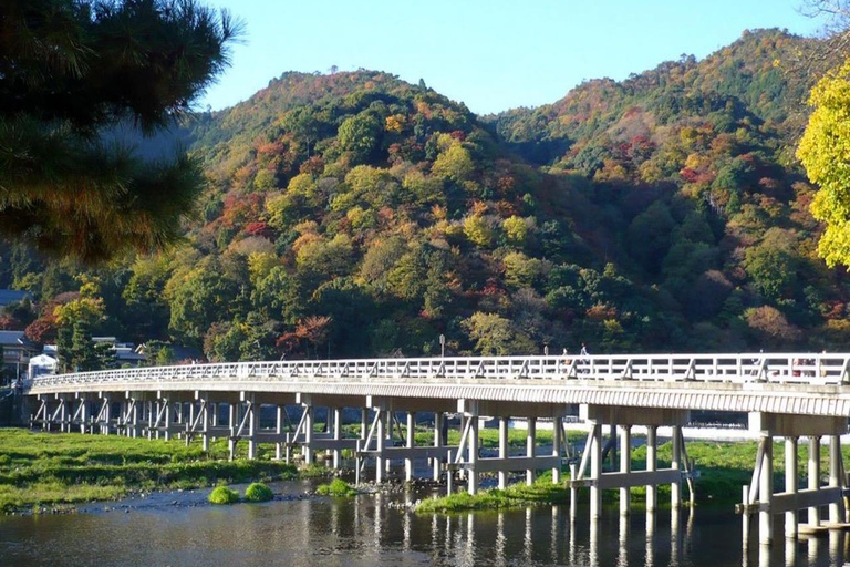 Kyoto Private Customizable Full Day Tour with Luxury Vehicle