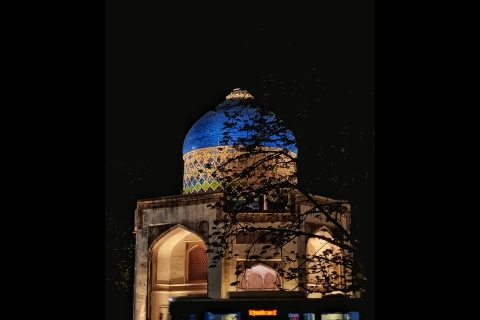 Tumbas y Santuario de Delhi de Noche: Un paseo fotográfico con cenaTumbas y Santuario de Delhi de Noche: Con entrada al monumento