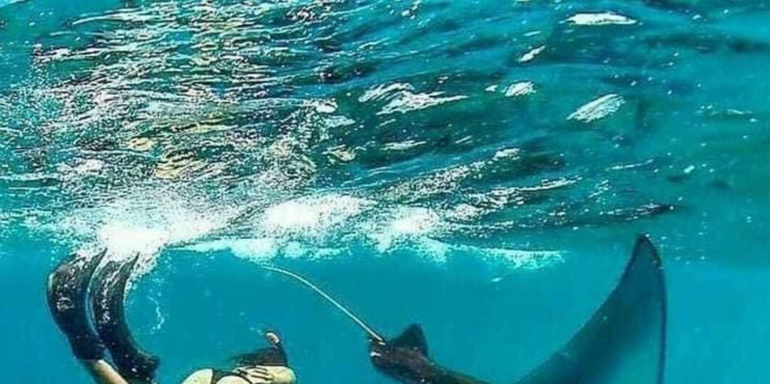 Bali - Nusa Penida Highlight Snorkeling and Land Tour