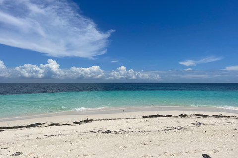 Nurkowanie z rurką w Kizimkazi i wycieczka na piaszczystą łachę (cały dzień)