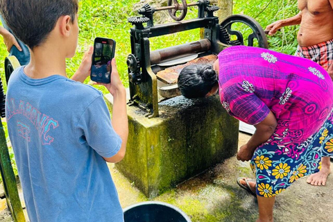 From Colombo: Ratnapura Gem, Tea & Spice Day Tour