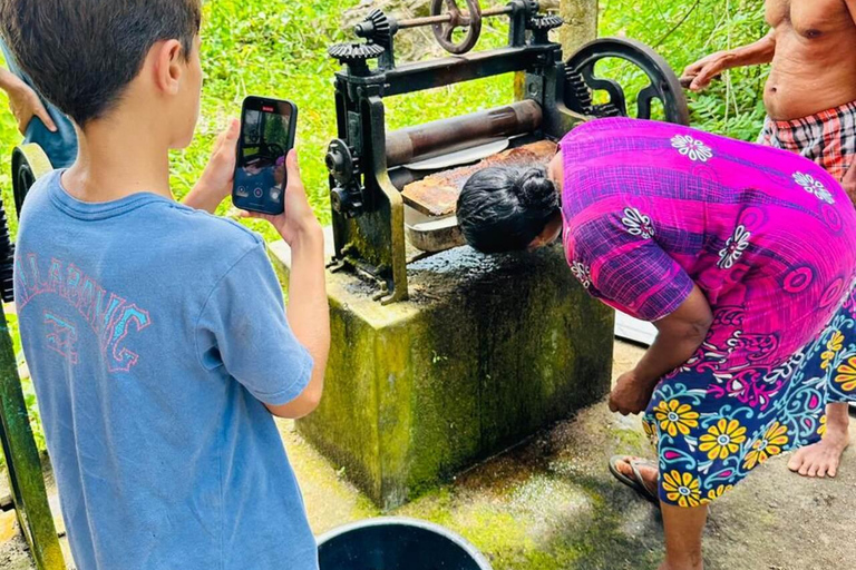 From Colombo: Ratnapura Gem, Tea & Spice Day Tour