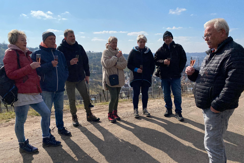 Estugarda: Visita ao vinho espumanteTour do Vinho Espumante