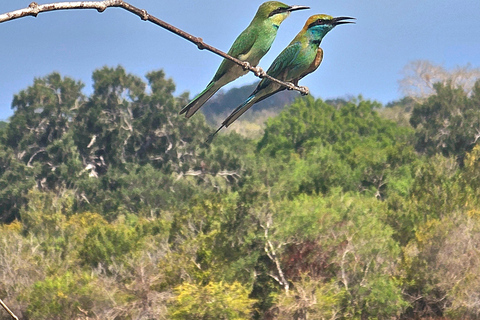 Sri Lanka : Ethical Safari Tour - Voyageur Quiet Safari