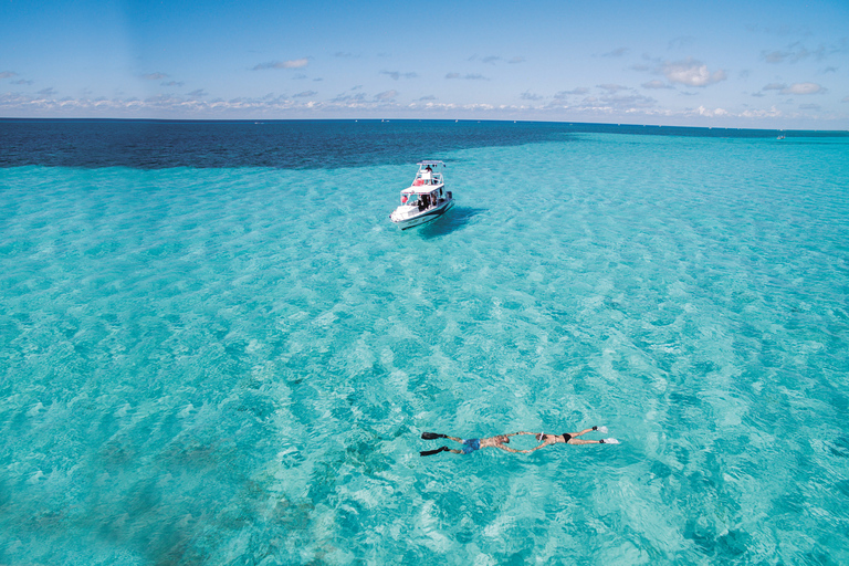 Van Riviera maya; catamaran alleen voor volwassenen naar isla mujeres