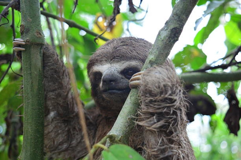 2-day excursion to the magical Amazon