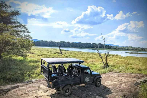 Sigiriya: Wasgamuwa National Park Jeep Safari