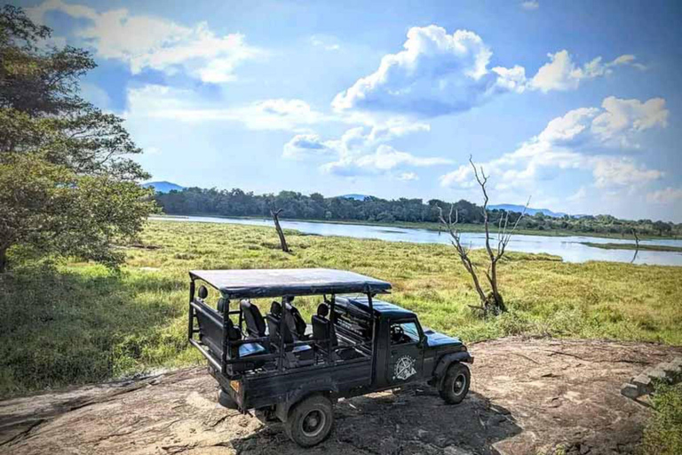 Sigiriya: Wasgamuwa National Park Jeep Safari