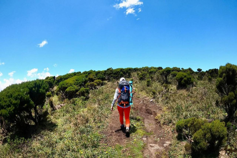 Nairobi: Double Summit Aberdares Day Hike