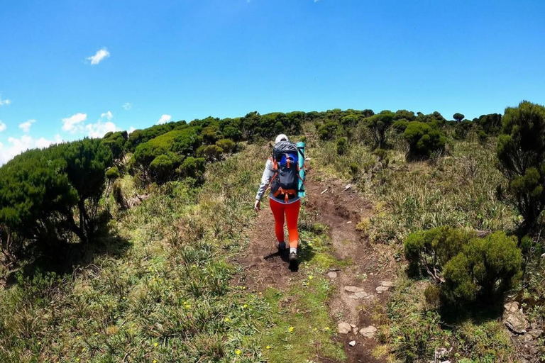 Nairobi: Double Summit Aberdares Day Hike