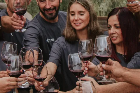 Mendoza: Tour de degustação de vinhos com almoço e transporte particular