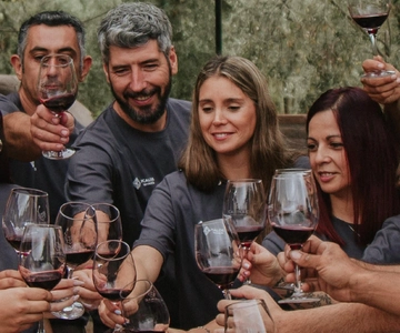 Mendoza: Wine Tasting Tour with Lunch and Private Transport