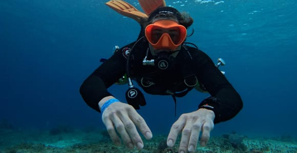 Cozumel: Advanced Certification with 6 Adventure Dives