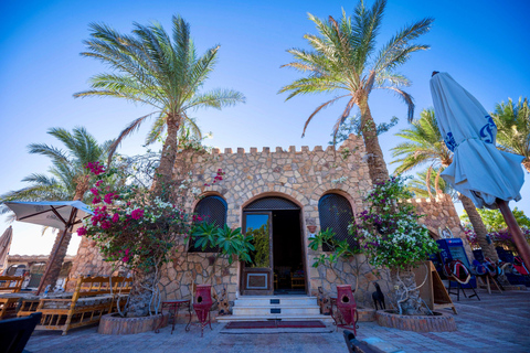 Hurghada: VIP Buggy & Camel Safari + BBQ & Stargazing Sunset — Solo Buggy & Camel — Dinner, Show & Stargazing