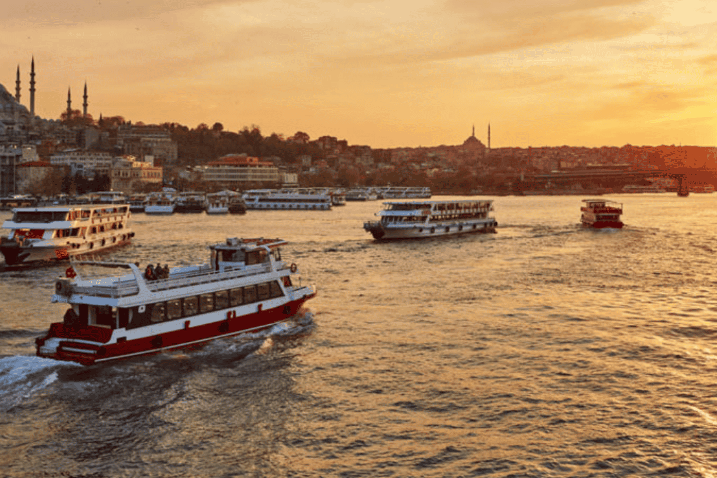 Istanbul: Bosphorus Morning or Sunset Cruise