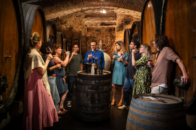 Au départ de Strasbourg : visite privée des vins d&#039;Alsace classiques