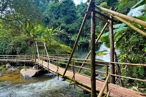 Chiang Mai: Doi Inthanon Nationaal Park en Pha Dok Siew Trek