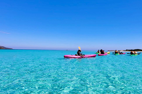 Bonifacio: Guided tour of the caves and cliffs with a swim